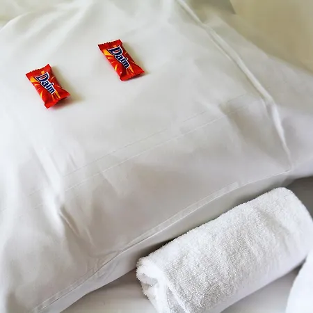 Og 게스트하우스